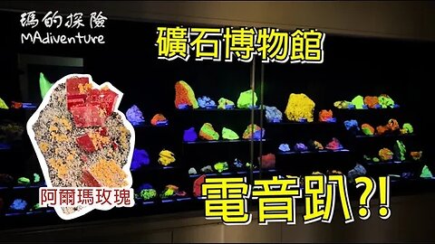 美國生活 | 波特蘭礦石博物館美瘋！螢光礦 雷公蛋 木化玉 菱錳礦 奧勒岡開箱礦石店+早午餐+懶人瀑布+超巨大鱘龍魚 吃喝玩樂兩天行程 Portland Rice museum Tour & Trip