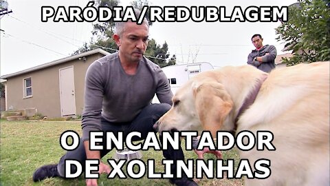 E SE O ENCANTADOR DE CÃES FOSSE NA BAHIA ? - Paródia_Redublagem