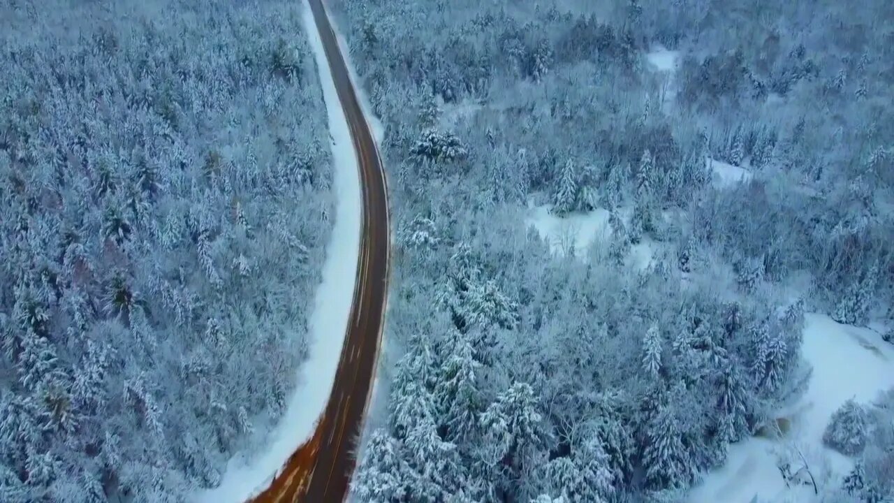 Heavy Snow, covering the trees on, The 10 Curves Road.