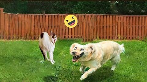 DON'T LAUGHS 🐶🤣||PART-4|| FOLLOW US FOR FUNNY PET 🐶😼