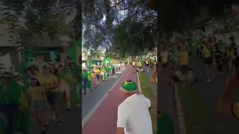 video 2022 11 15 19 39 35