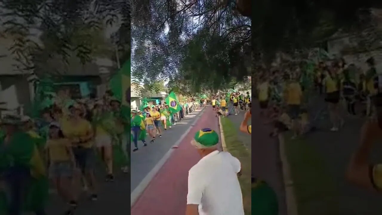 video 2022 11 15 19 39 35