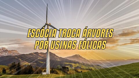 Escócia Troca Árvores Por Usinas Eólicas