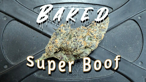 Super Boof Strain Review - Baked Craft Cannabis