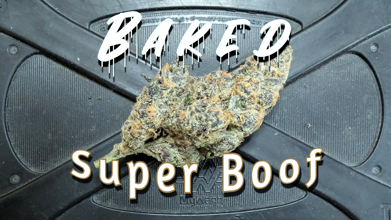 Super Boof Strain Review - Baked Craft Cannabis