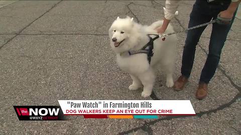 Dog watchers keep an eye out for crime in Farmington Hills