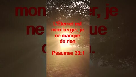 Verset Du Jour | Lecture Inspirante Pour Commencer La Journée. | 44