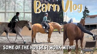 5 HORSES IN 1 DAY | Train Horses with Me!