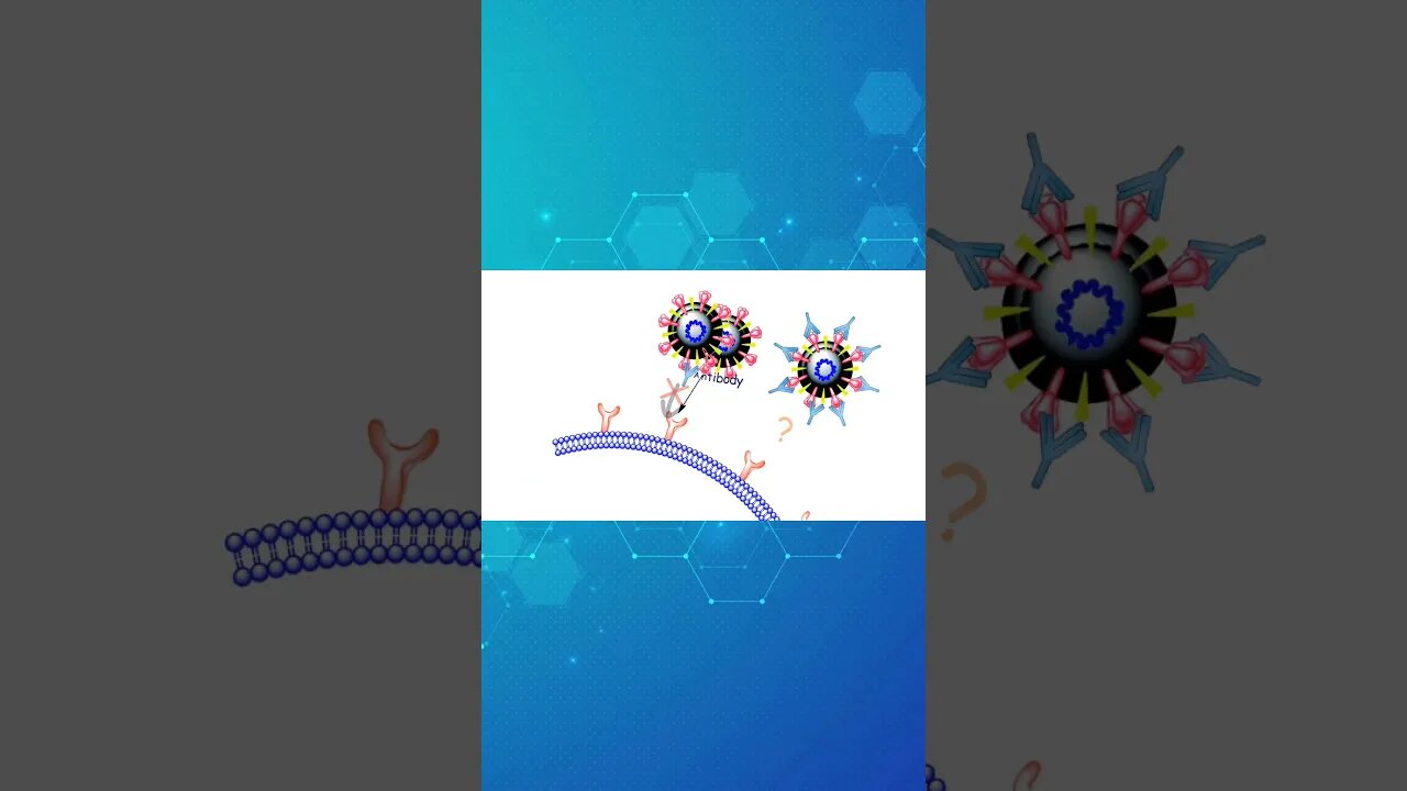 HIV VACCINE! (Clip from full length video)