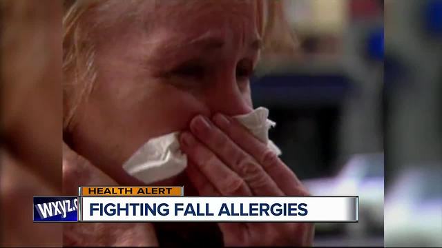 Fighting fall allergies