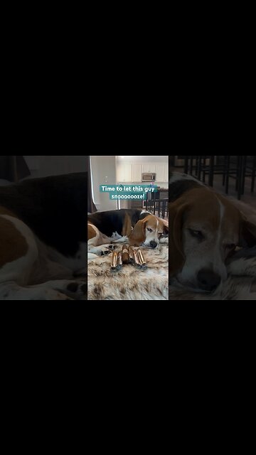 LOW EFFORT CONTENT #cigar #cigars #luxury