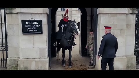 Horse tries to kick the corporal #horseguardsparade