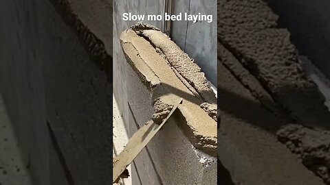 #shorts slow mo cement bed laying