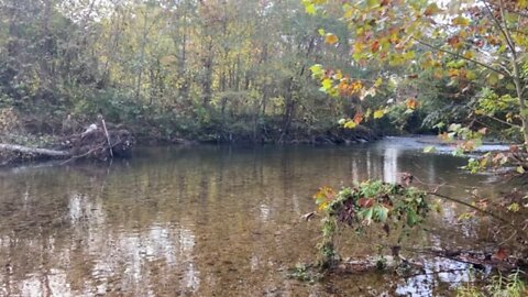 Tennessee creek beautiful morning