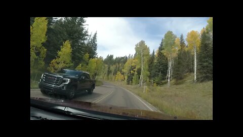 FALL FOLIAGE, GRAND CANYON ROUTE #67