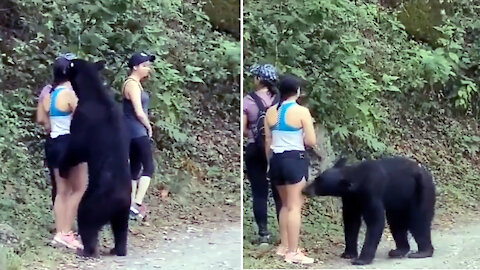 Girls can not run away for fear of bears