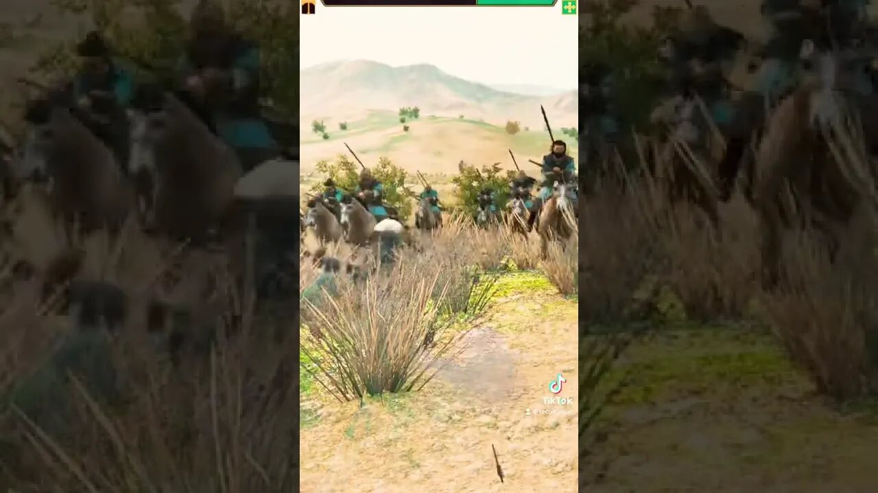 Bannerlord mods from TikTok 9