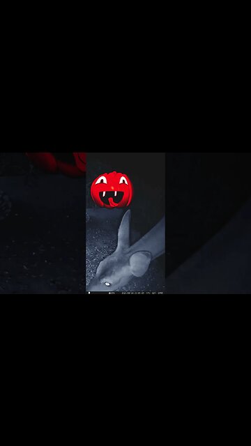 Jack 'O Lanterns Visit! 🎃