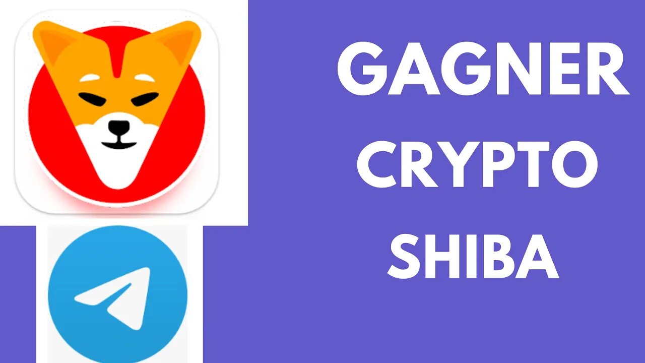 Gagner shiba inu crypto shibagram avec telegram wallet retrait shiba crypto Erc20 Bep20