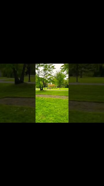 Walking through a park