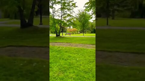 Walking through a park
