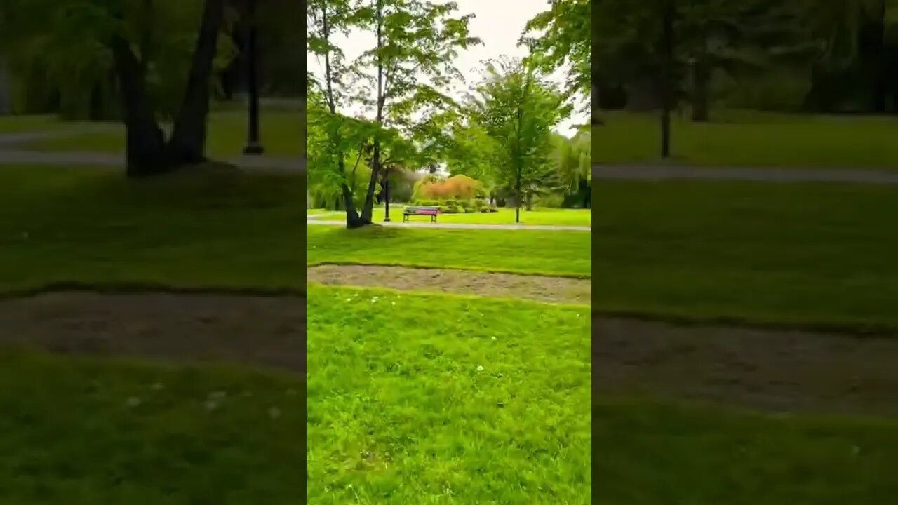 Walking through a park