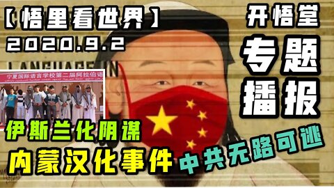 【悟里看世界】2020.9.2专题播报/开悟堂