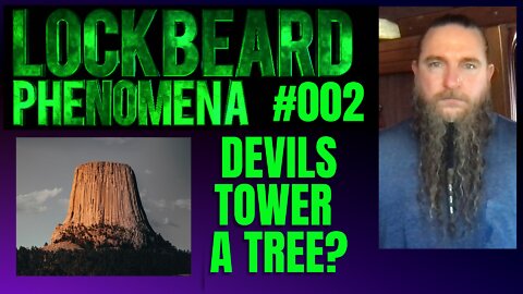 LOCKBEARD PHENOMENON #002. Devils Tower A Tree?