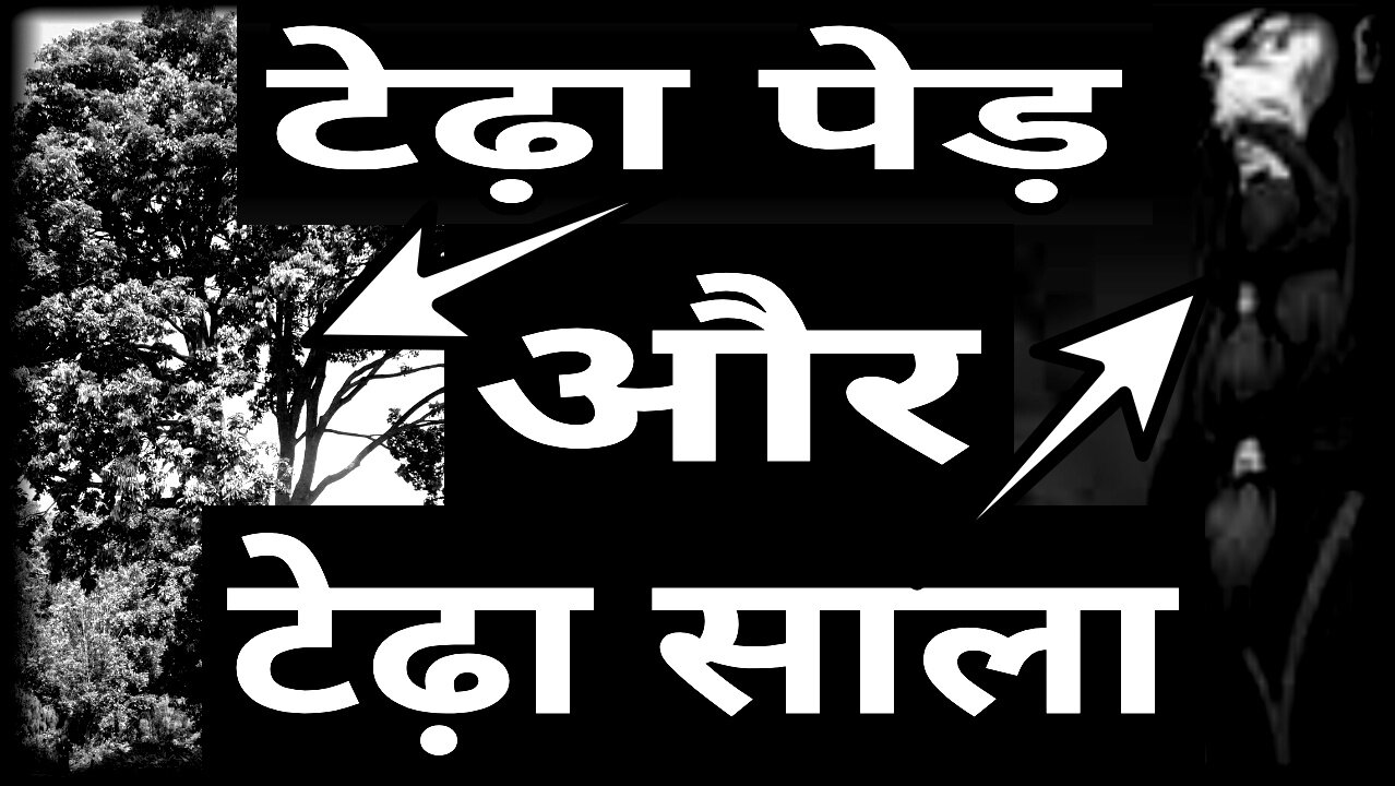 टेढ़ा पेड़ और टेढ़ा साला_ Hindi Kahaniyan। Hindi Story Kahani।Text Kahani।Story Hindi।