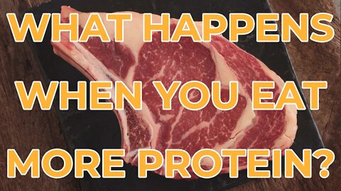 What happens when you eat more protein?