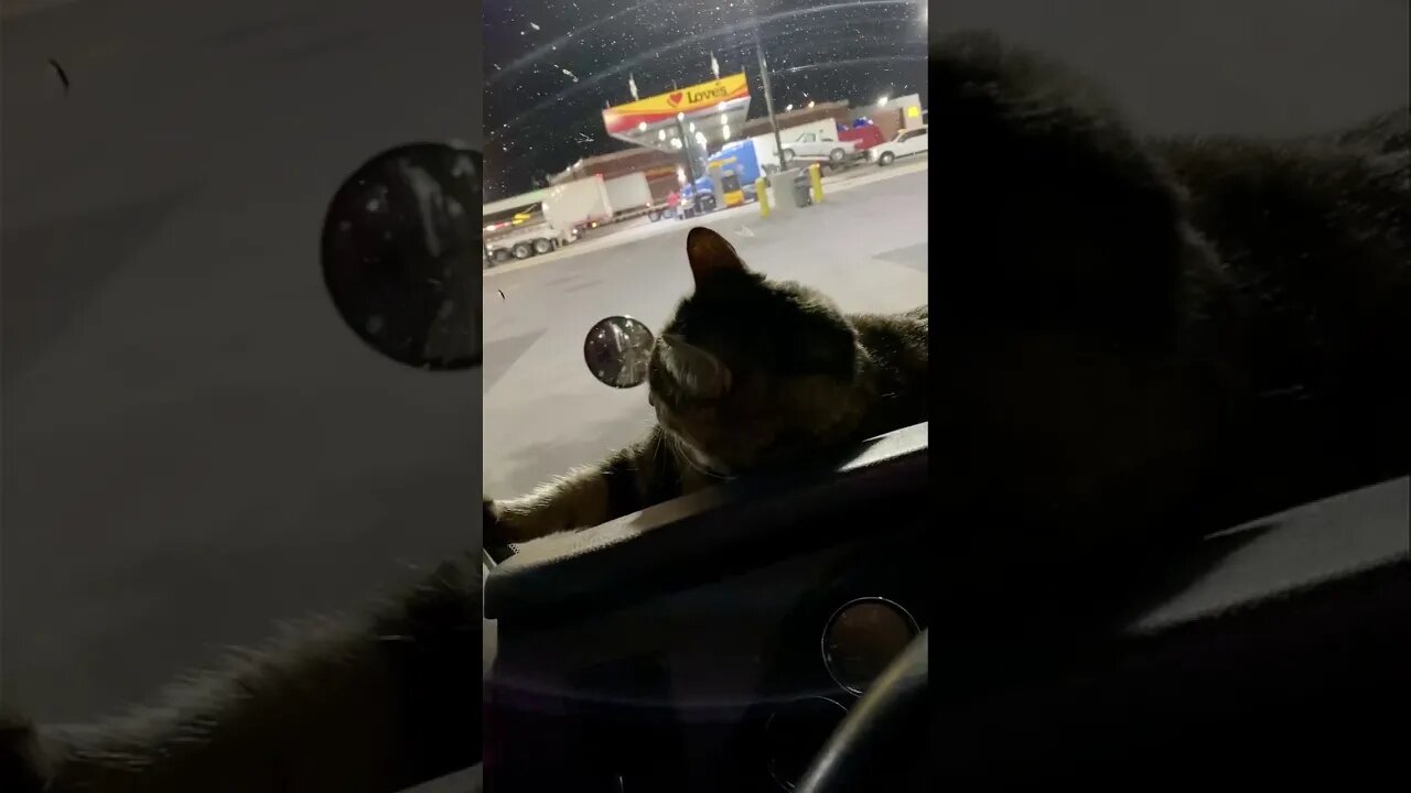 watching trucks