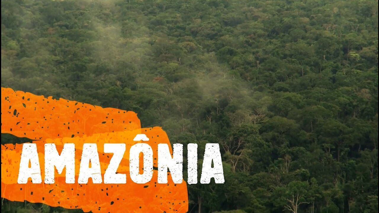 AMAZÔNIA