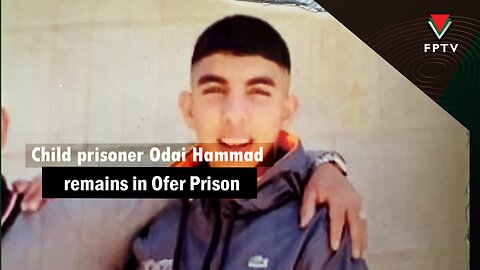 Child prisoner Odai Hammad remains in Ofer prison