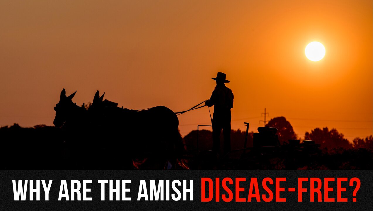 Why Amish Children Don't Get Autism, Down Syndrome, Diabetes, Crohn's Disease or Obesity