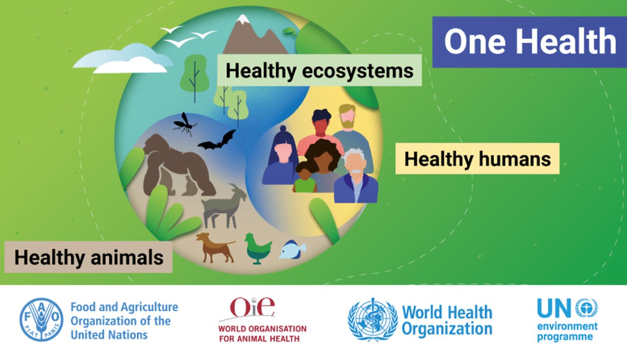 UN/WHO One Health: Precursor to One World Government – Video #108