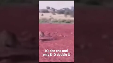 MEME is the one and only D-O double G #shorts