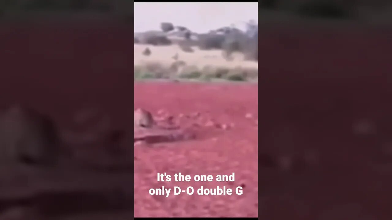 MEME is the one and only D-O double G #shorts