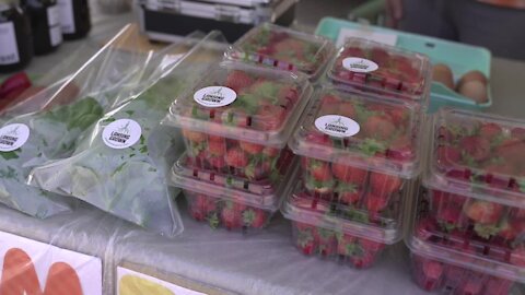 Lansing farmers market vendors navigate summer 2021 sales trends