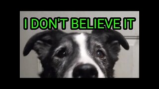 DOLLAR A DAY PREPS WEEKS 46-48