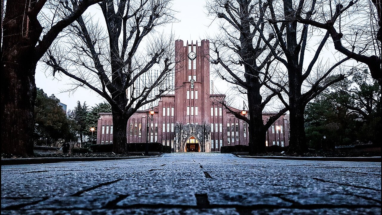 What is the top 10 university in Japan?