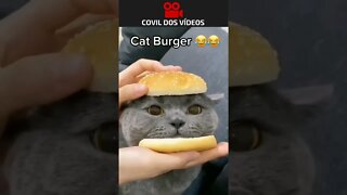 gato burguer sem fritas