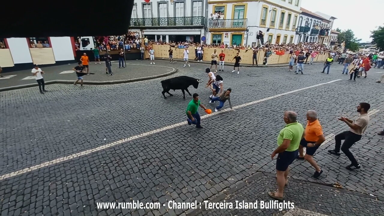 Largada Sanjoaninas 2024 - Ilha Terceira - Açores