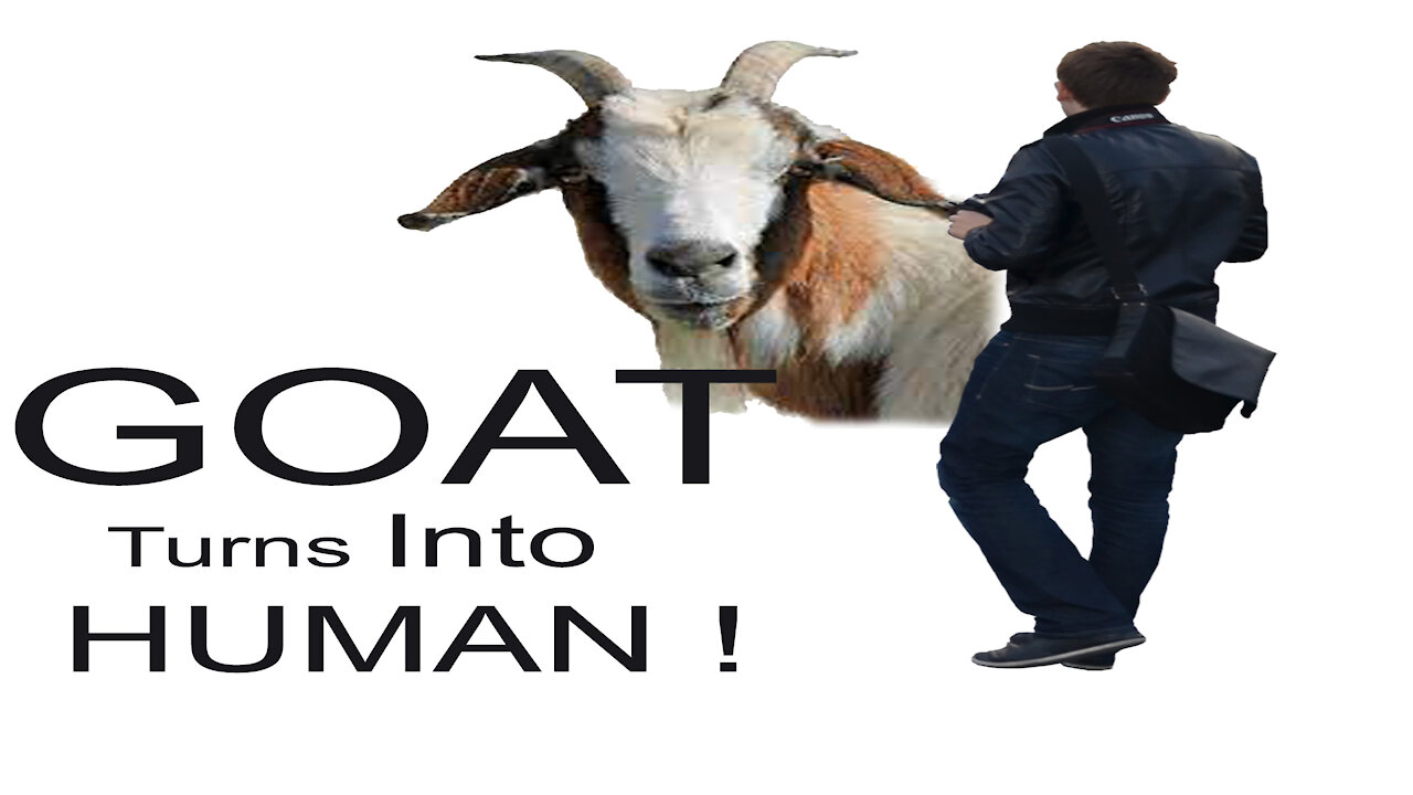 Watch As Goat Turns A Human!!