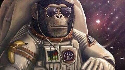 New York and Los Angeles 5th Dimensional Transformation 1000 Dimension Channeling