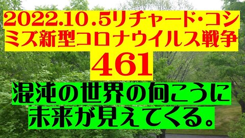 2022.10.05 リチャード・コシミズ新型コロナウイルス戦争４６１
