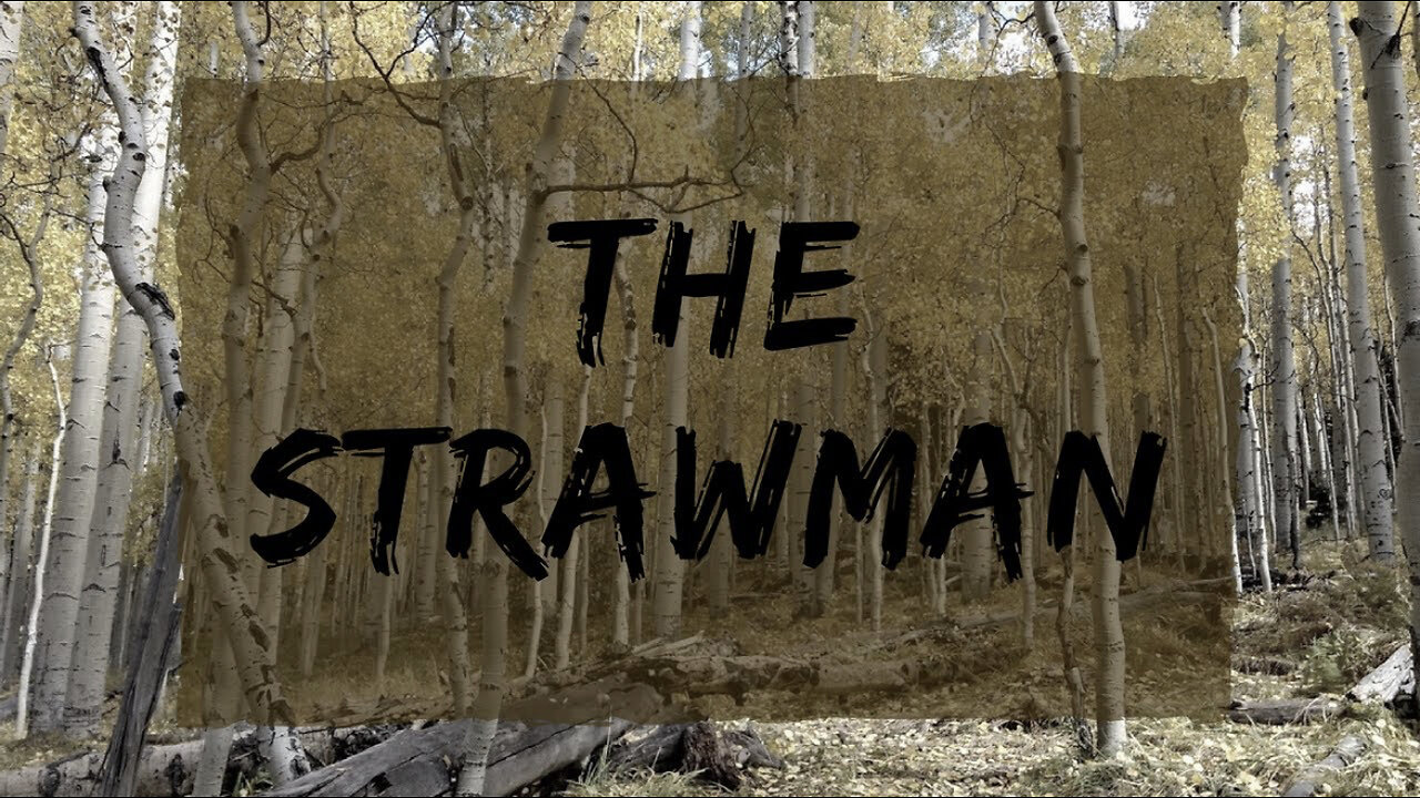 THE STRAW MAN