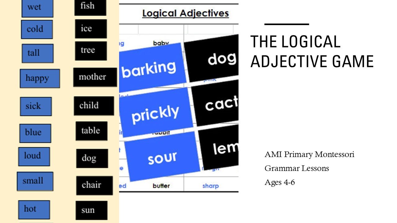 The Logical Adjective: Lesson 3 From the Function of Words Series (Montessori Grammar Lessons)