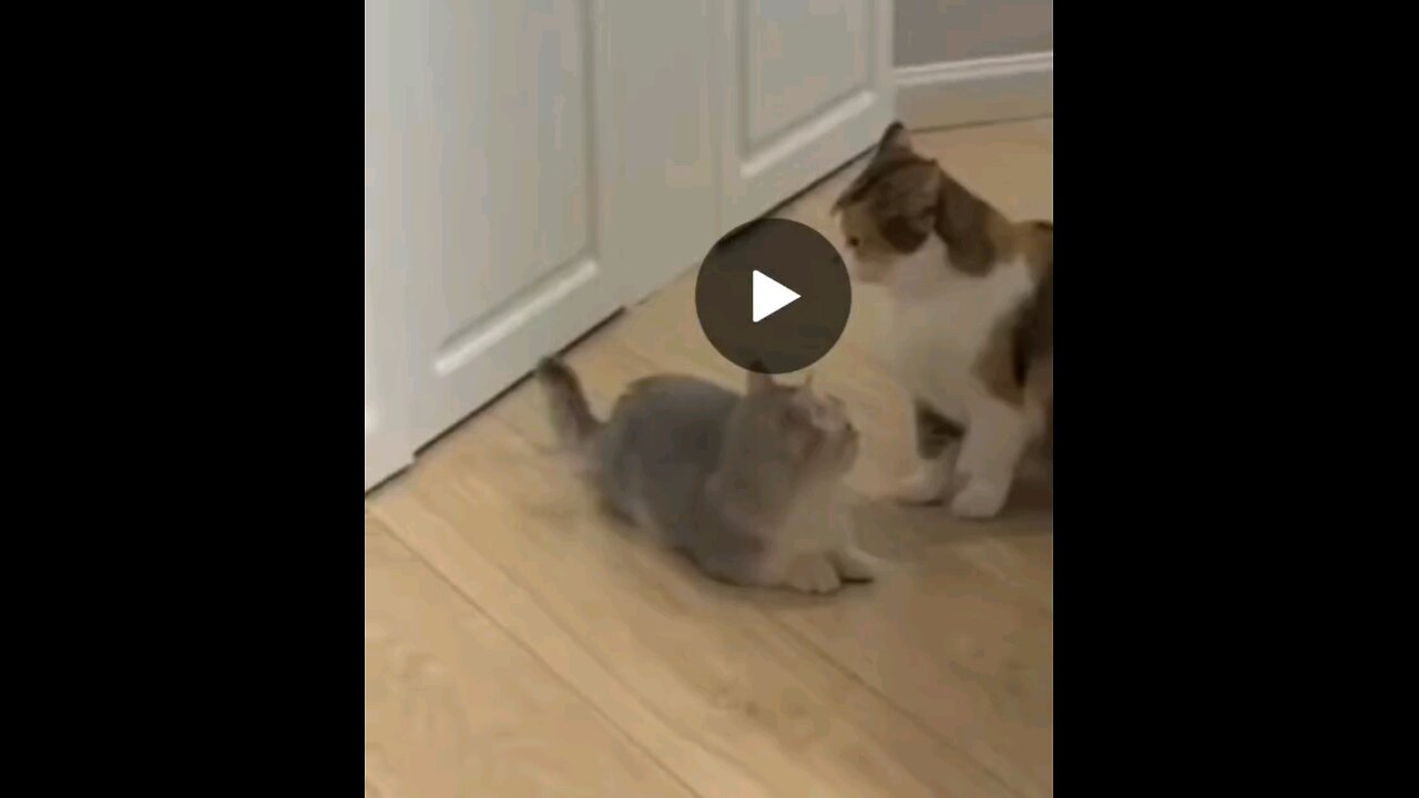 you want to fight