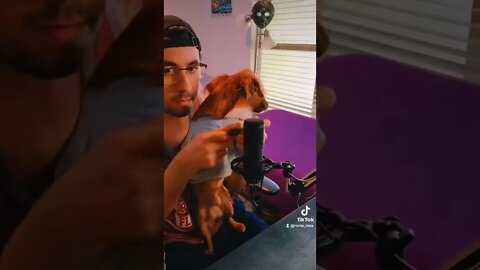 ASMR 🧏with Doggy