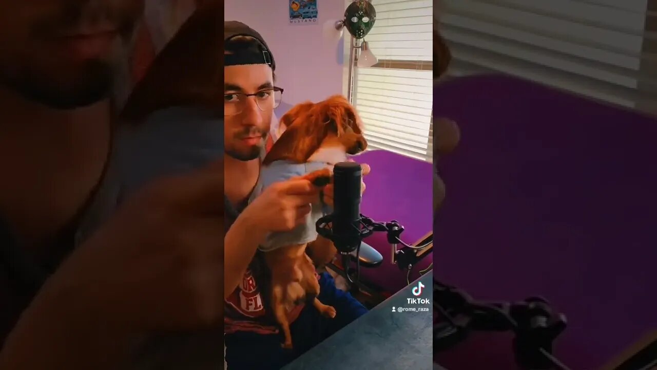 ASMR 🧏with Doggy